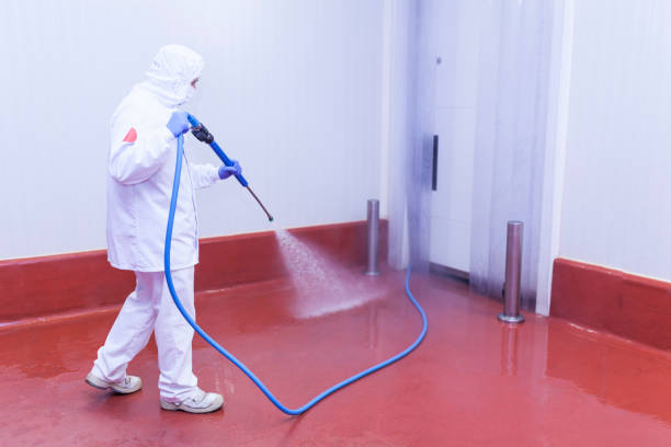 Best Winterizing Services  in Dunellen, NJ